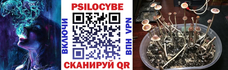 MEGA tor Прохладный Галлюциногенные грибы GOLDEN TEACHER продажа наркотиков
